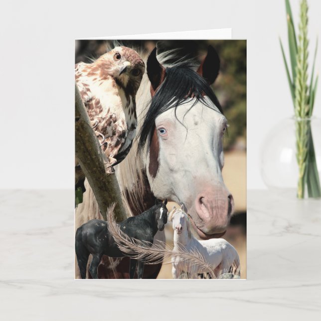 Cartão De Agradecimento Wild Dreams and Feather "Mustang Meg" WILD CARD (Frente)