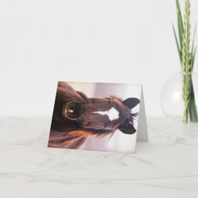 Cartão De Agradecimento Wild Mustange Oklahoma (Frente)