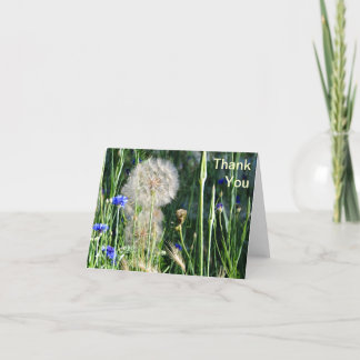 Cartão De Agradecimento Wildflowers e Puffball, obrigado