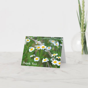 Cartão De Agradecimento Wildflowers with Daisies, Thank You