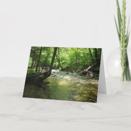 Cartão De Agradecimento "Woodland Stream"