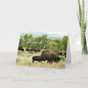Cartão De Agradecimento Wyoming Bison Nature
