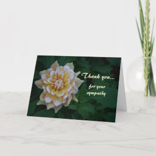 Cartão De Agradecimento Yellow dahlia Thank you for your sympathy cards