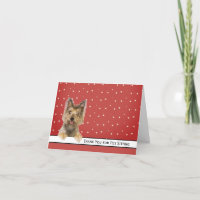 Yorkie Dog Obrigado por sentar-se com animais de e