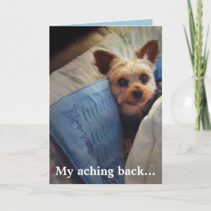 Cartão De Agradecimento Yorkie on heating pad Customizable