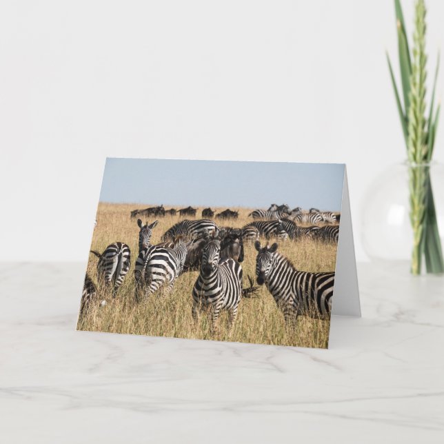 Cartão De Agradecimento Zebra do Grant (Frente)