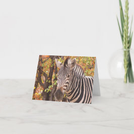 Cartão De Agradecimento zebra listrada se fecha em uma foto da floresta de