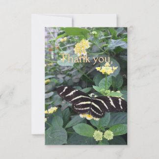 Cartão De Agradecimento Zebra Longwing Thank You Card