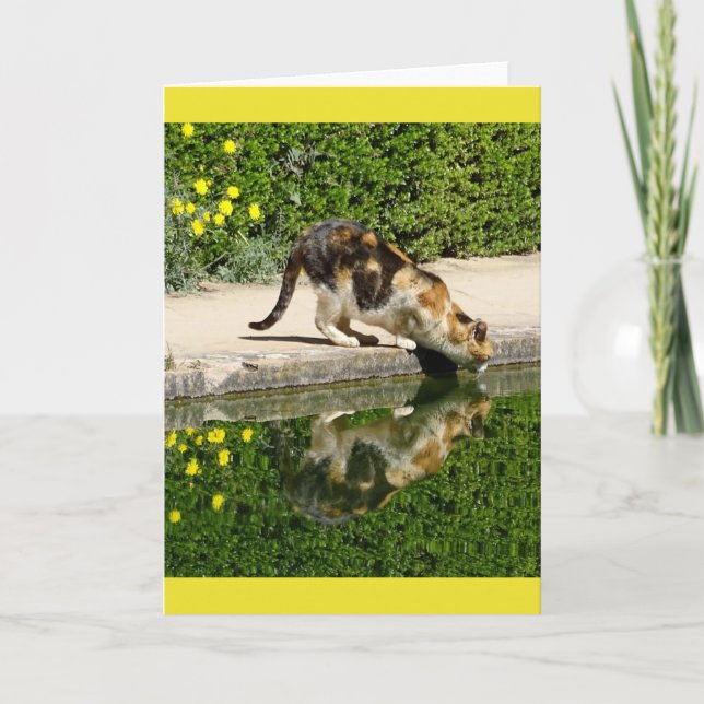 Cartão de Água para Bebendos Calico Cat (Frente)