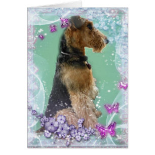 Cartão de Airedale Terrier