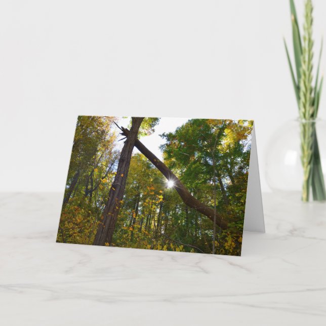 Cartão de Amizade (Frente)