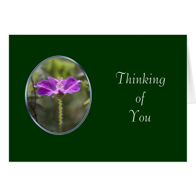 cartão de amizade (Frente Horizontal)