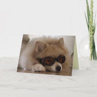 Cartão de Amizade da Pomerânia