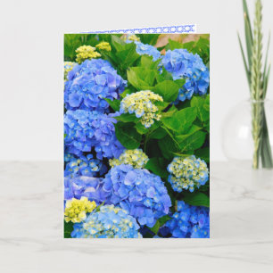 Cartão de Amizade Hydrangeas