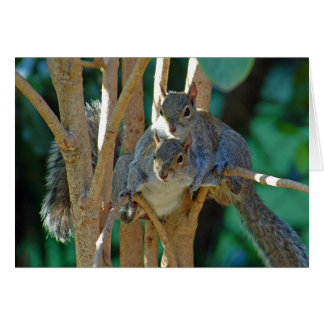 Cartão de Amor Irmão