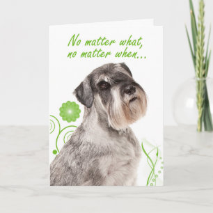 Cartão de Amor/Suporte Schnauzer