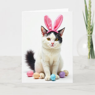 Cartão de Animais de Estimação Kitty Springtime Fu