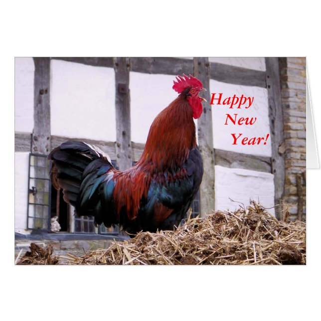 CARTÃO DE ANIMAIS DE EXPLORAÇÃO (Frente Horizontal)