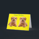 Cartão de aniversário<br><div class="desc">O Norfolk Terriers Twins aparece</div>