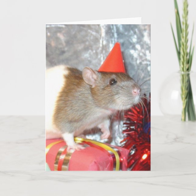 cartão de aniversário (Frente)