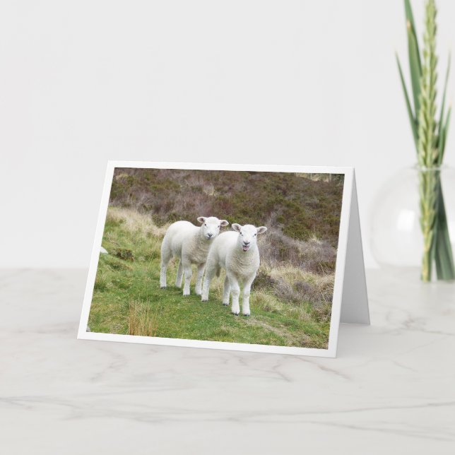 Cartão de aniversário (Frente)