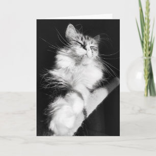 Cartão de Aniversário