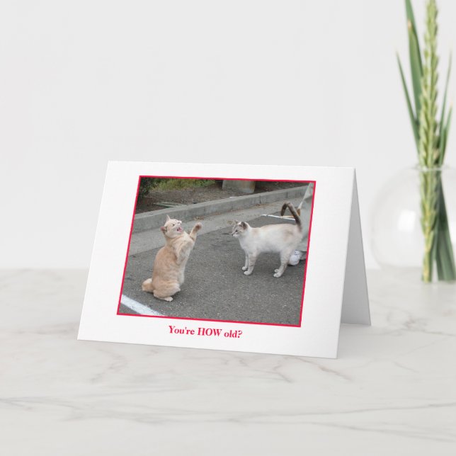 Cartão de aniversário (Frente)