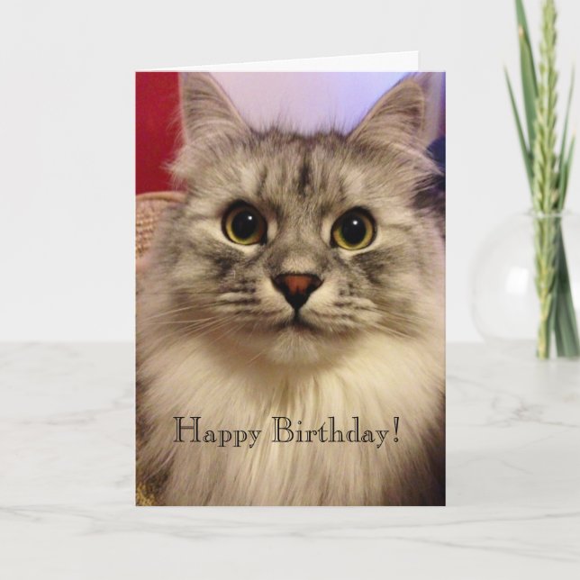 Cartão de Aniversário (Frente)