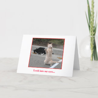 Cartão de aniversário