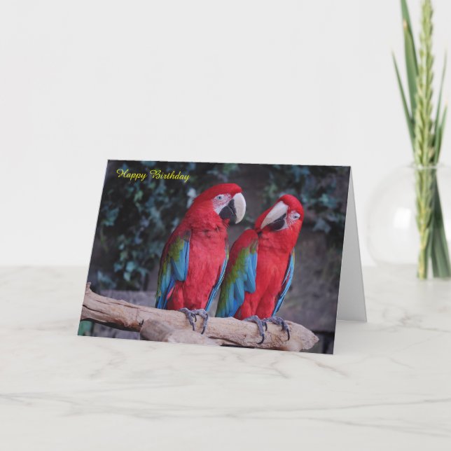 Cartão de Aniversário (Frente)