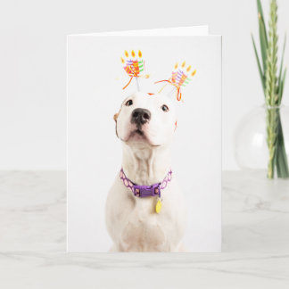 Cartão de aniversário