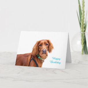 Cartão de Aniversário