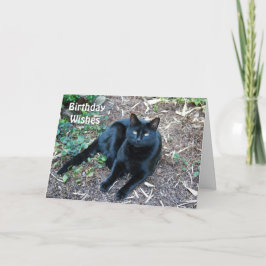 Cartão de aniversário 1 do gato preto