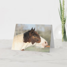 Cartão de Aniversário 5x7