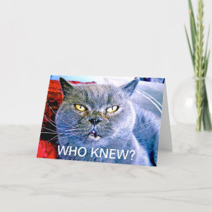 Cartão de Aniversário 60º Gato Azul