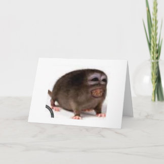 cartão de aniversário afectuoso