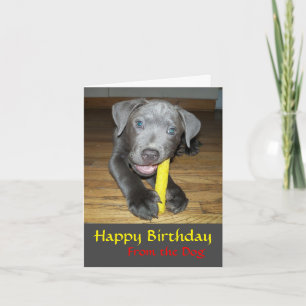 Cartão de Aniversário Amante de Cachorro Filhote L