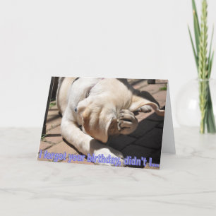 Cartão de aniversário atrasado