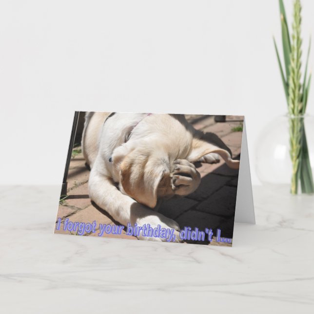 Cartão de aniversário atrasado (Frente)