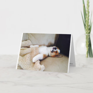 Cartão de Aniversário Atrasado - Cãozinho De Corgi