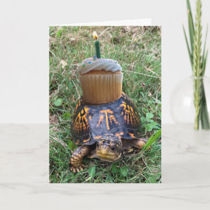 Cartão de Aniversário Atrasado Engraçado