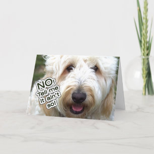 CARTÃO DE ANIVERSÁRIO BAIXO - NÃO, DIGA QUE NÃO É 