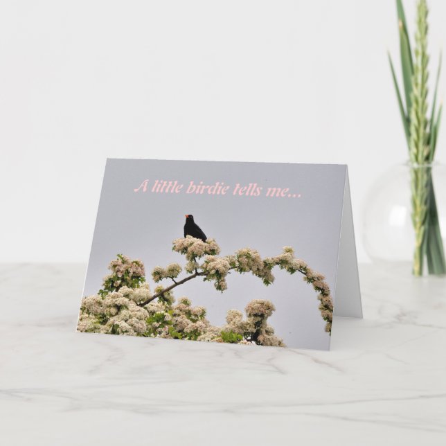 Cartão de Aniversário: Blackbird (Frente)