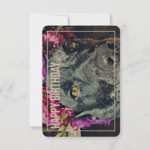 Cartão de Aniversário Boho Heeler