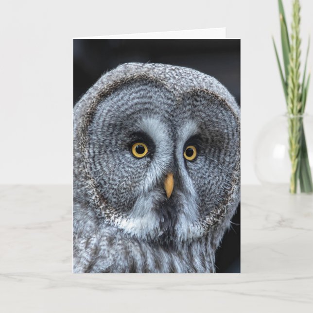 CARTÃO DE ANIVERSÁRIO BONITO DE OWL (Frente)