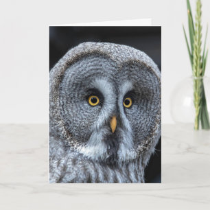 CARTÃO DE ANIVERSÁRIO BONITO DE OWL