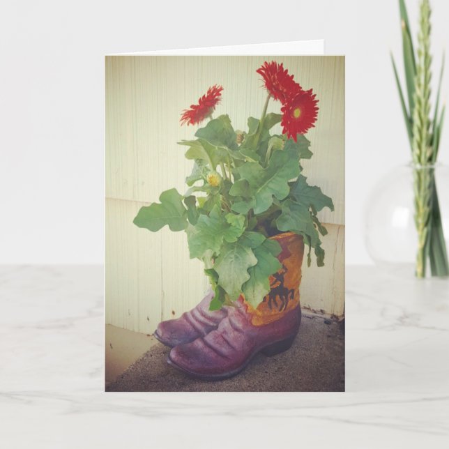 Cartão de Aniversário "Botas de Cowboy Gerbera Dai (Frente)