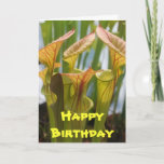 Cartão de aniversário carnívoro da planta de jarro<br><div class="desc">Cartão de aniversário carnívoro da planta de jarro</div>