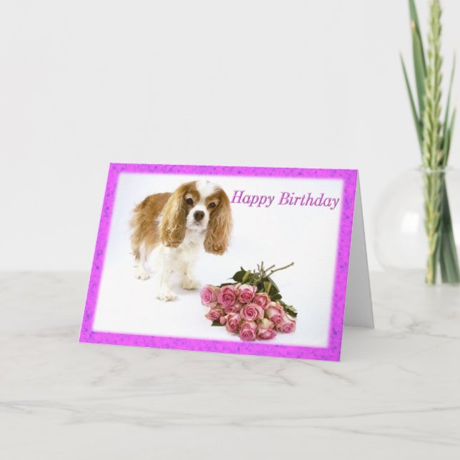 Cartão de Aniversário Cavalier King Charles Spanie (Frente)