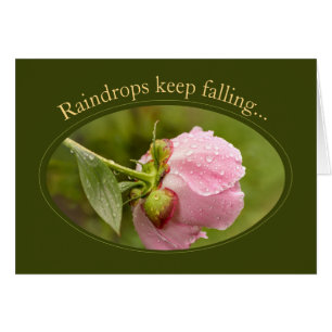 Cartão de aniversário CC1046, Depressão de pedras